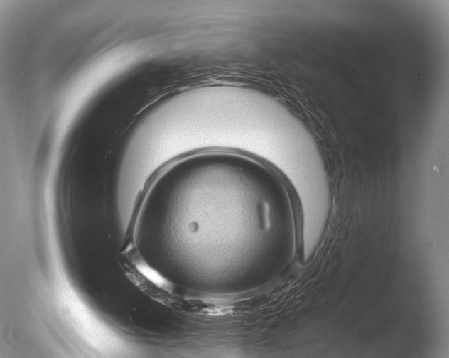 X0000085730052200703301412