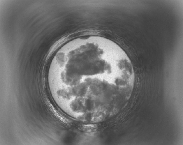 X0000085730053200703301412