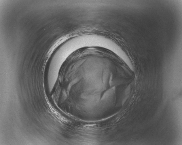 X0000085730054200703301412