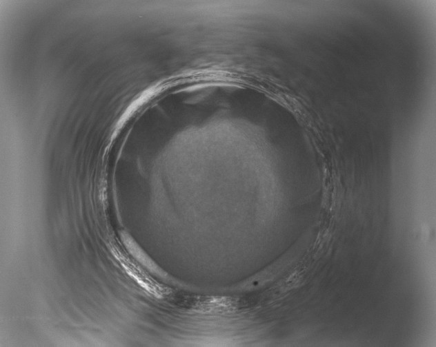 X0000085730056200703301412