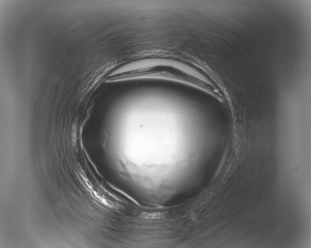 X0000085730057200703301412