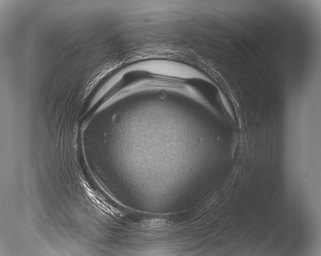 X0000085730058200703301412