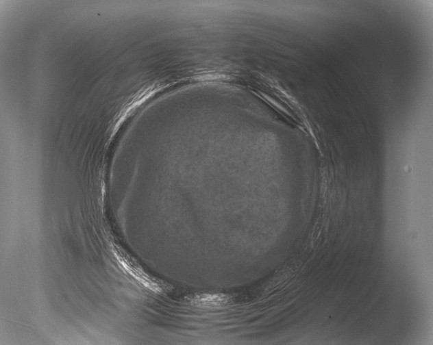 X0000085730059200703301412