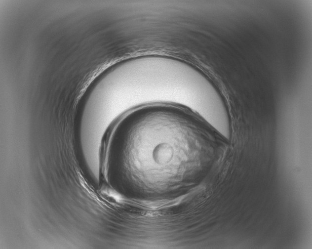 X0000085730060200703301412