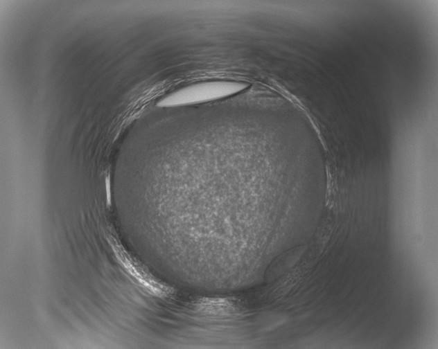 X0000085730061200703301412