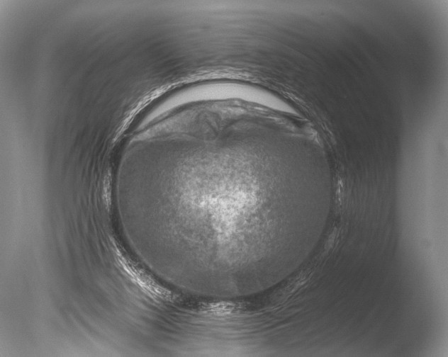 X0000085730064200703301412