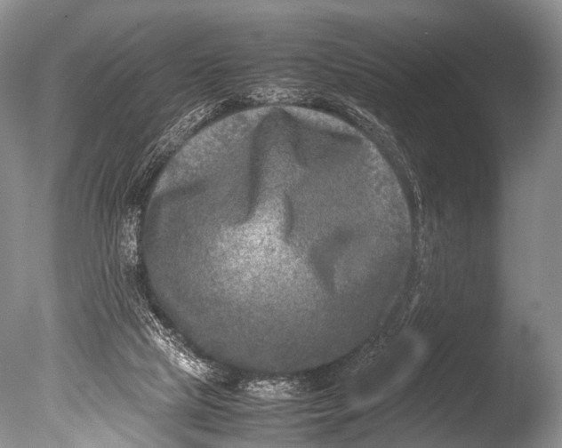 X0000085730065200703301412