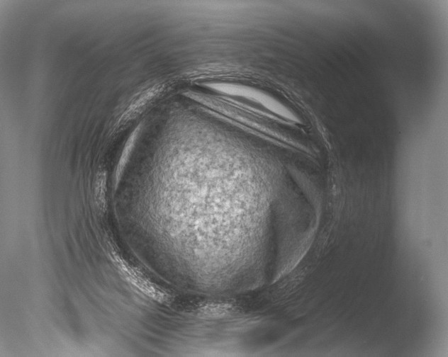 X0000085730066200703301412