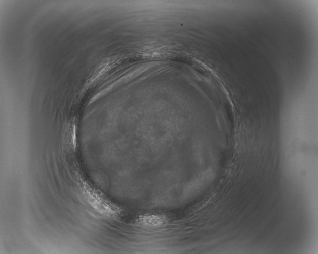 X0000085730067200703301412