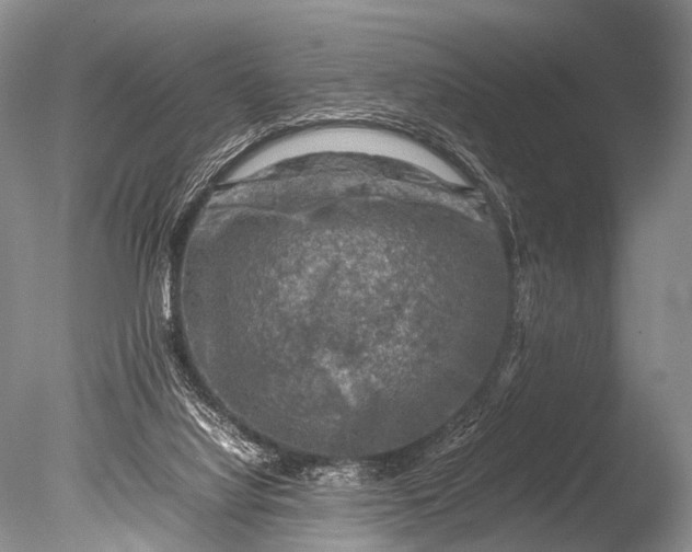 X0000085730068200703301412