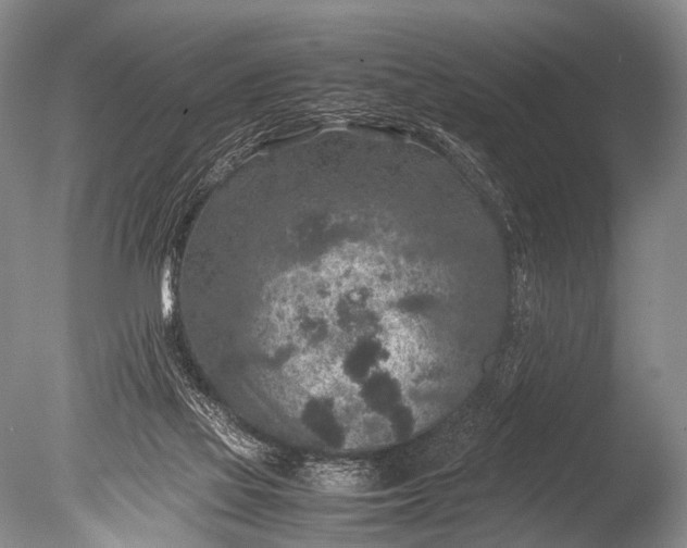 X0000085730069200703301412