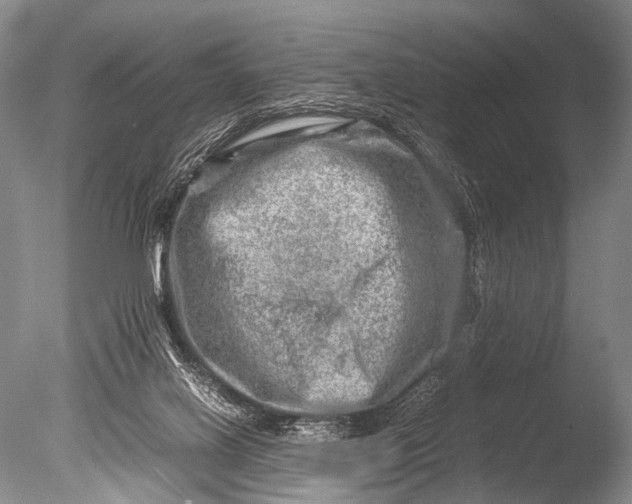 X0000085730070200703301413