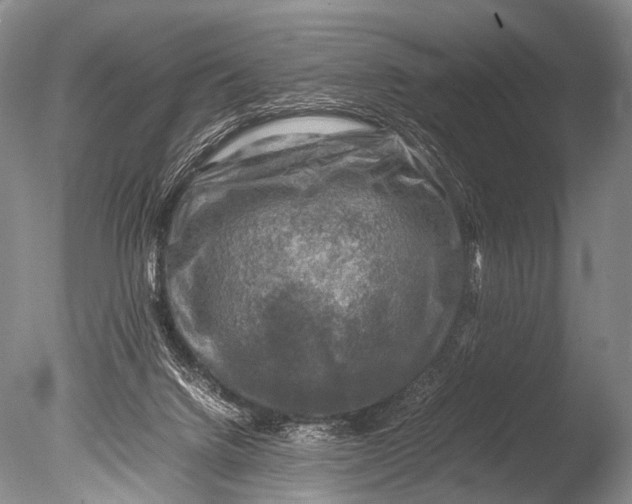 X0000085730072200703301413