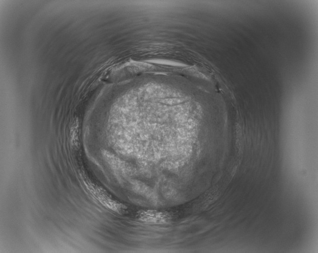 X0000085730073200703301413