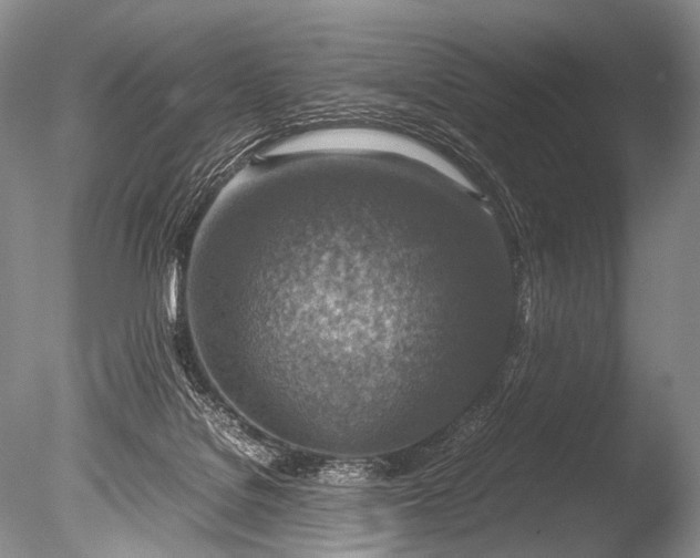 X0000085730076200703301413