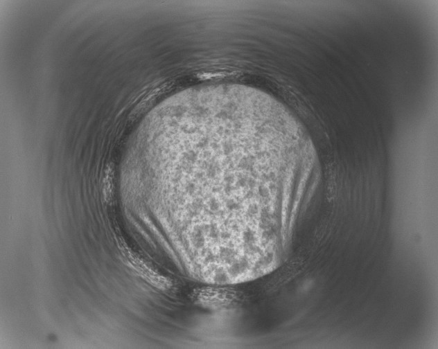 X0000085730077200703301413