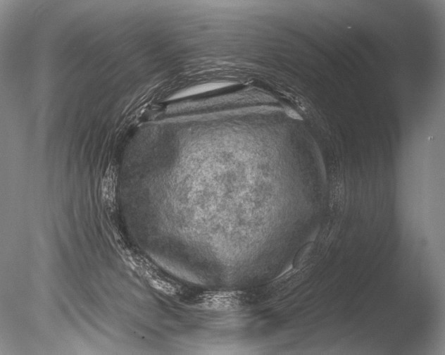 X0000085730078200703301413