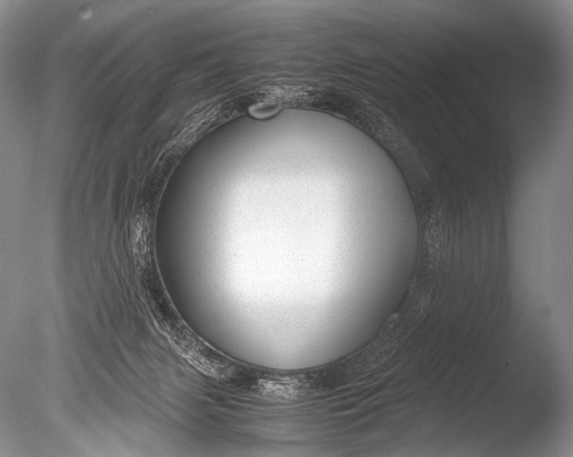 X0000085730079200703301413