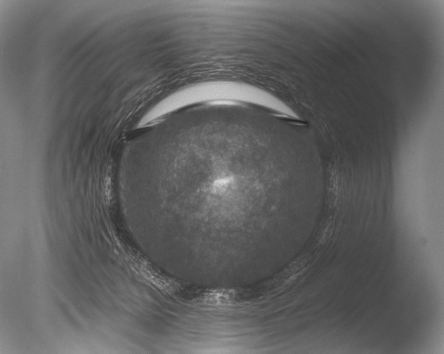 X0000085730080200703301413