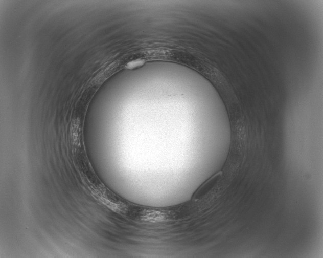 X0000085730083200703301413