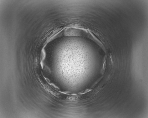 X0000085730084200703301413