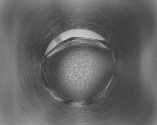 X0000085730086200703301413