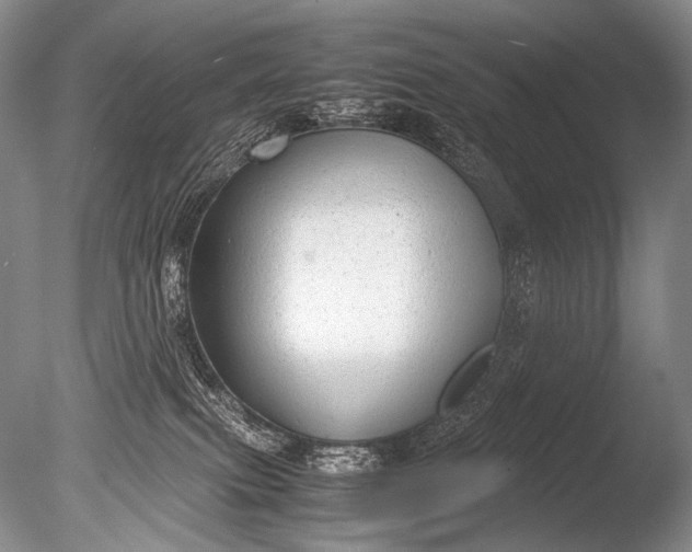 X0000085730087200703301413