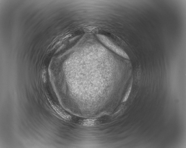 X0000085730090200703301413