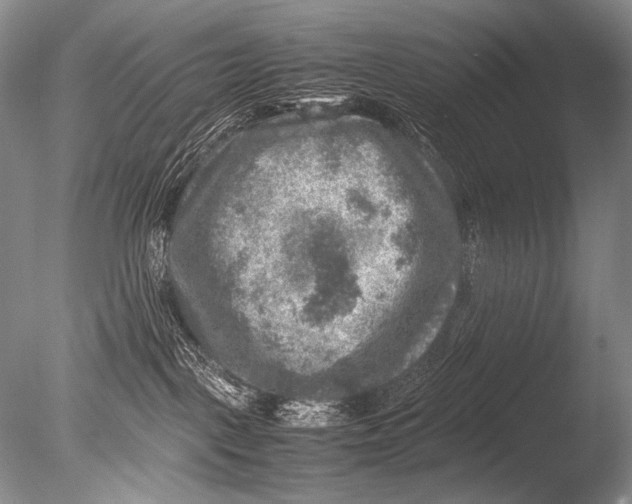 X0000085730093200703301413