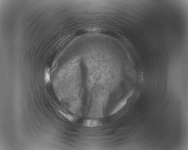 X0000085730095200703301413