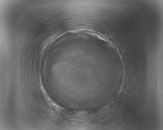 X0000085730097200703301412