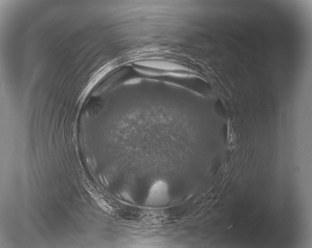 X0000085730099200703301412