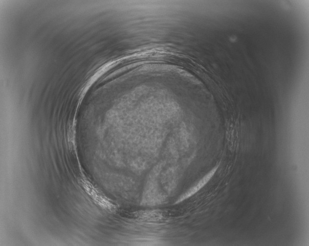 X0000085730100200703301412