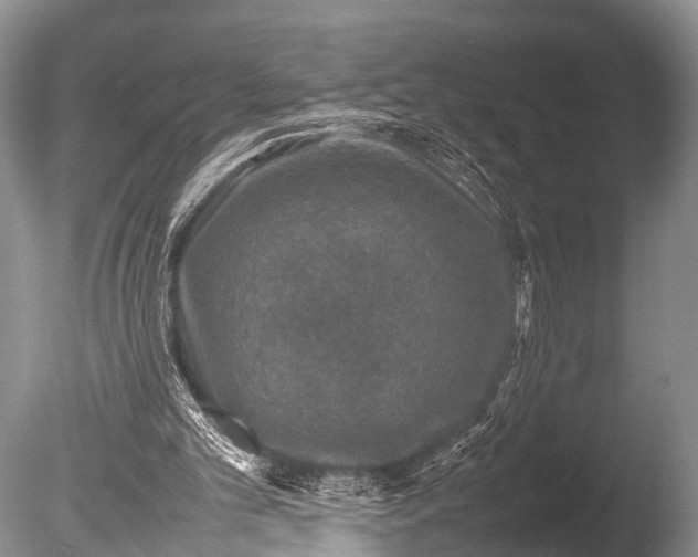 X0000085730101200703301412