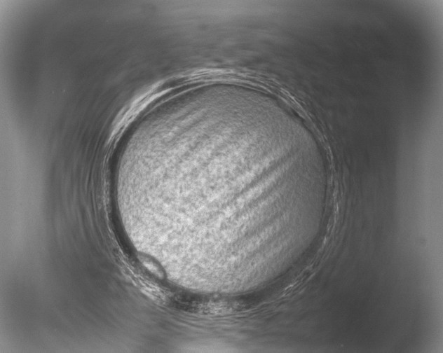 X0000085730103200703301412