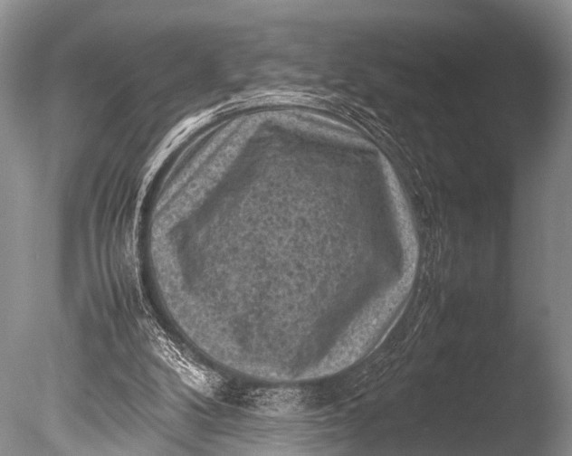 X0000085730104200703301412