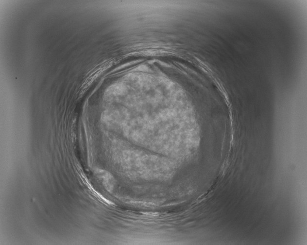 X0000085730105200703301412