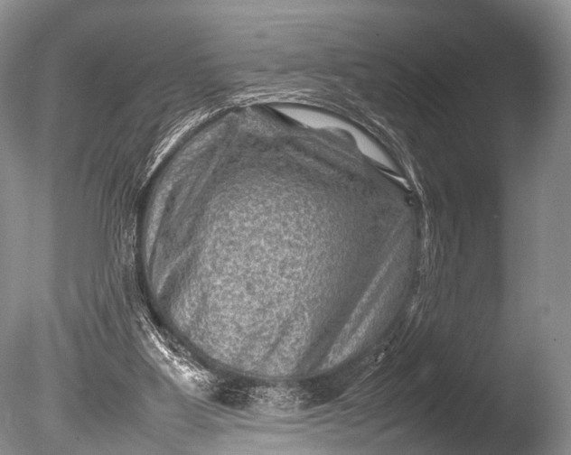 X0000085730107200703301412