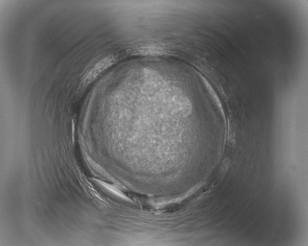 X0000085730109200703301412