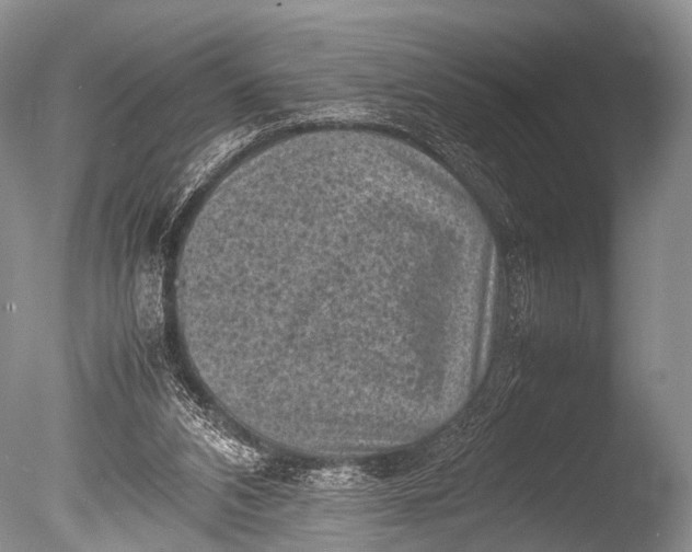 X0000085730112200703301412