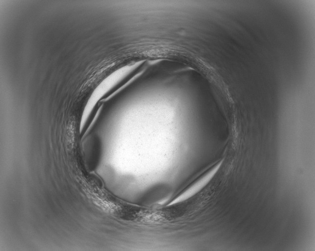 X0000085730113200703301412