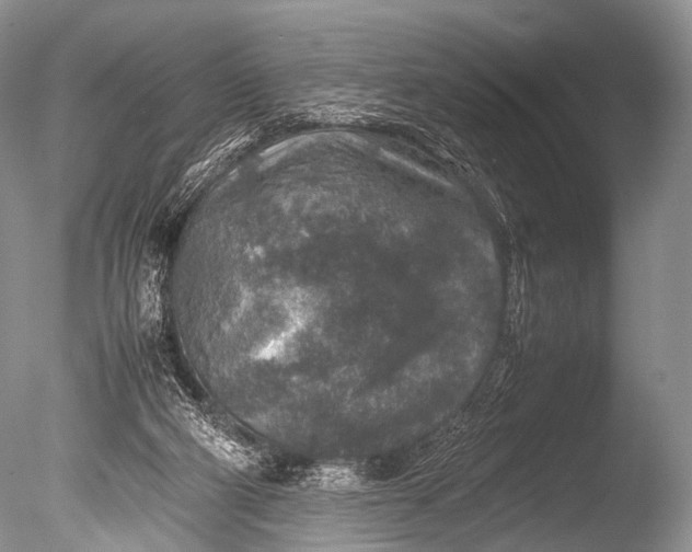 X0000085730114200703301412