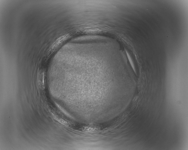 X0000085730115200703301412