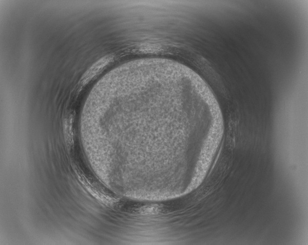 X0000085730116200703301412