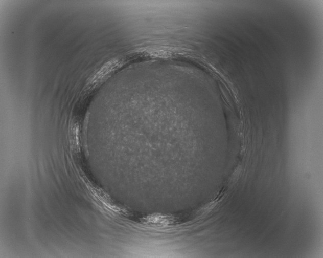 X0000085730117200703301412