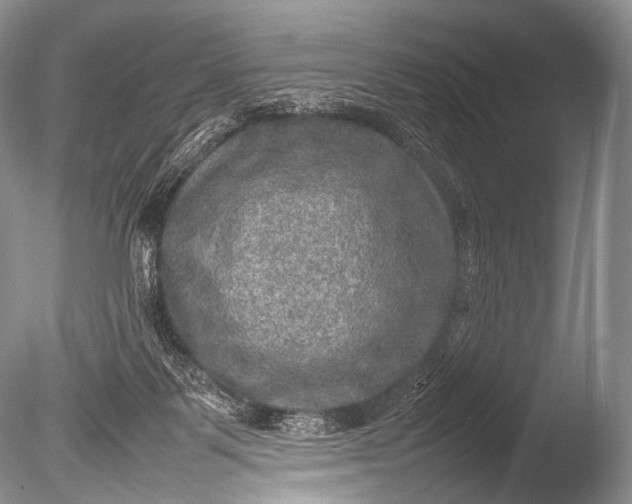 X0000085730123200703301412