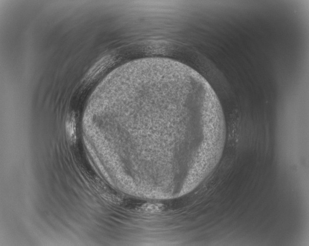 X0000085730124200703301412