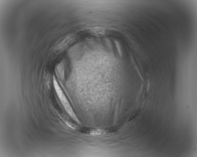 X0000085730125200703301412