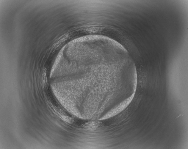 X0000085730128200703301412