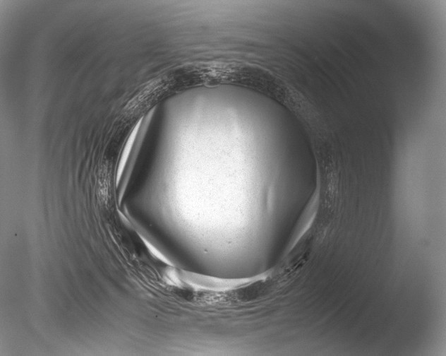 X0000085730129200703301412